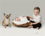 Caerphilly baby photographer pet dog