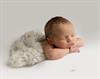 baby girl newborn photos Caerphilly