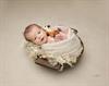 baby newborn photoshoot Newport South Wales